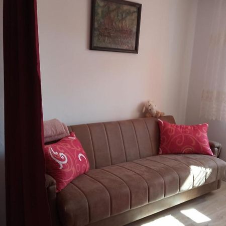 Appartement Apartman Rose à Novi Sad Extérieur photo