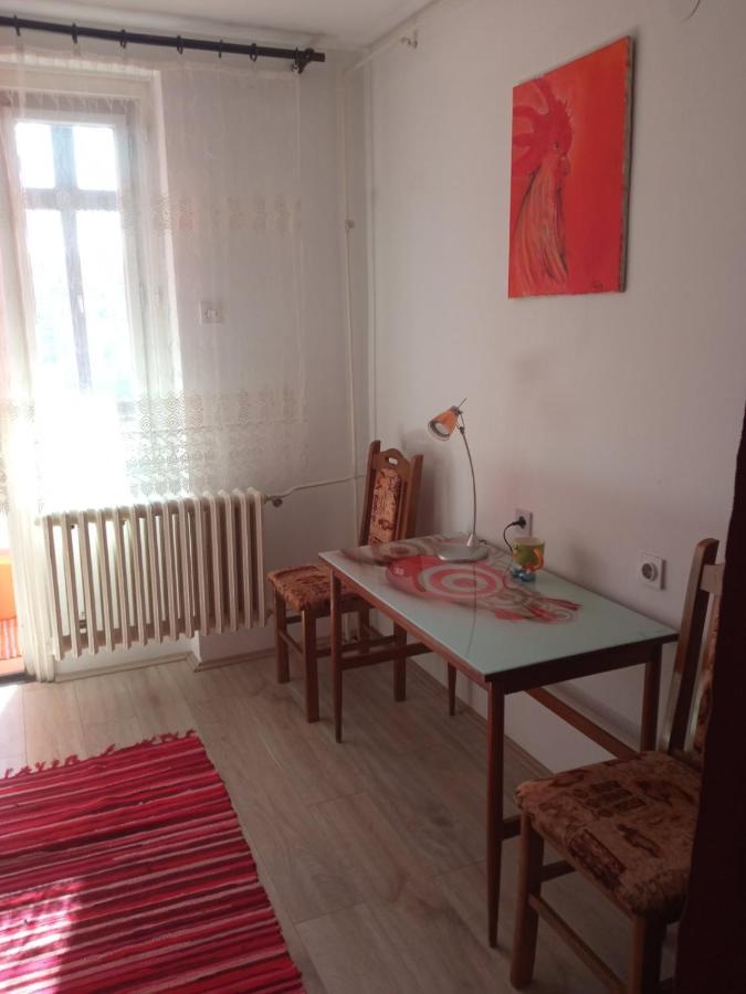 Appartement Apartman Rose à Novi Sad Extérieur photo