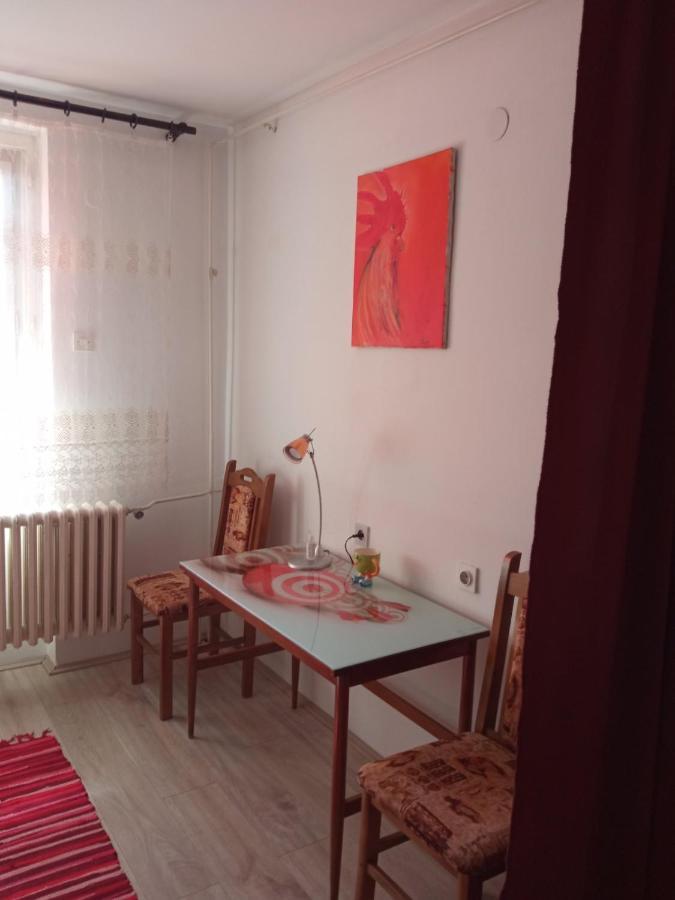 Appartement Apartman Rose à Novi Sad Extérieur photo