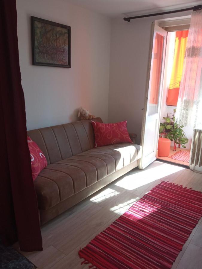 Appartement Apartman Rose à Novi Sad Extérieur photo