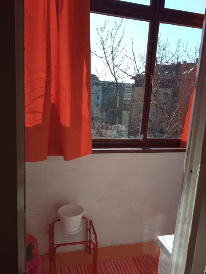 Appartement Apartman Rose à Novi Sad Extérieur photo