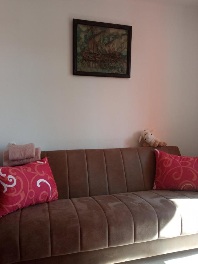 Appartement Apartman Rose à Novi Sad Extérieur photo